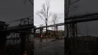 Валка деревьев Свеза Усть Ижора