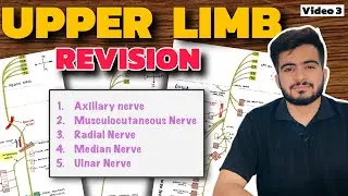 Complete Upper Limb Revision | Video 3 | All Nerves of Upper Limb Anatomy
