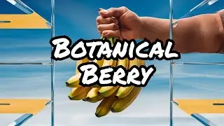Why Bananas Are Berries (and Strawberries Aren’t)