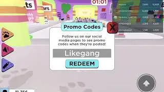 All codes in pet show