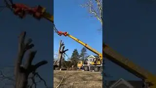 Tree being assembled