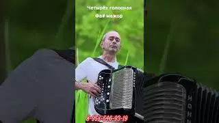#гармонь#продажа#заказ