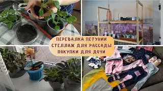 РАССАДНЫЕ ДЕЛА. Первая пикировка ПЕТУНИИ / СТЕЛЛАЖ ДЛЯ РАССАДЫ своими руками / Одежда с АЛИЭКСПРЕСС
