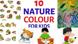 10 Nature Colours|| Colours of Nature|| Primary Art Lesson