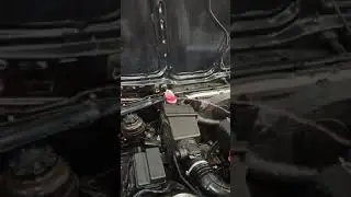 писающая бмв 2