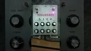 2in1 distortion dan overdrive siap meluncur