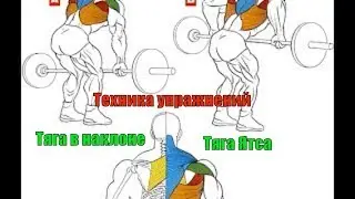 Тяга штанги в наклоне. Тяга Ятса. Как делать тяги в наклоне для развития мышц спины