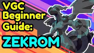 VGC Beginner Guide: Zekrom