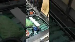 Меняю десятку на двадцатку/Пруд возле Дома/Всё своими руками