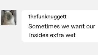 The Funniest Tumblr Posts