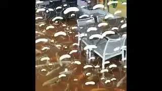 CRUSTY CRAB IRL!?!?!?!?