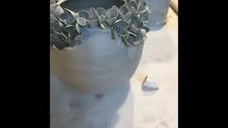 Hydrangea vase