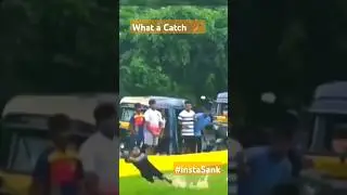 What a Catch 🏏#trending #shorts #tiktok #cricket