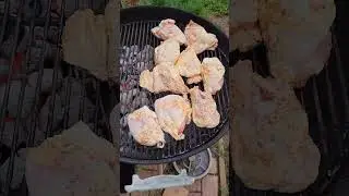 naked  bbq  chicken?
