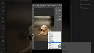 Remove Object With Lasso Tool 💯 