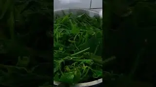 #food