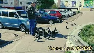 Нерюнгри 8.06.2020 🌲🌲🌱🌱🛣️🛣️🕊️🕊️🕊️🕊️🕊️🕊️🕊️🕊️🌱🌴🌿🌿🌷🌷🌻🌺🥀🥀🌺☘️☘️☘️🍀🌲🌴🌱🌴🌲🌵
