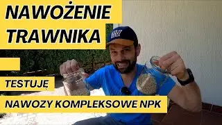 Nawożenie trawnika - dlaczego wybrałem nawóz kompleksowy NPK?