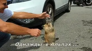 Однажды на перевале. Гид в Швейцарии +41 787 1978 27