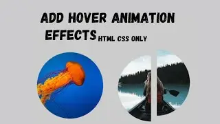 How to add Animation in HTML CSS | Image HTML CSS | Full Tutorial