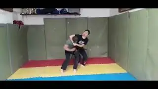 ninjutsu takedowns, joint locks, submission moves