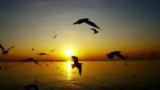 Mattia Cupelli  - Fly Beyond The Limit ....Emotional Beautiful  (Leć poza granice)