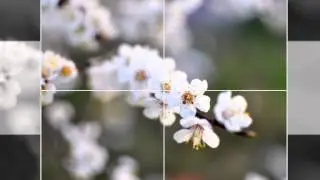 Gulum harda qalmisan.ORANJIMAN VE SES REJISSORU , CAVID CAVAD OGLU RECEBOV