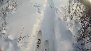 Накроха для привлечения зверя.