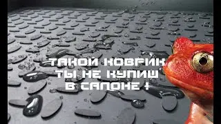 Солярис 2 2018 такой коврик диллер не продаст.