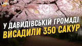 В селі Кротошин висадили 350 сакур. Мета не тільки озеленити село, а й допомогти нашим Захисникам