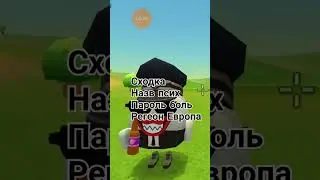 30 июля 2024 г.