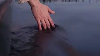 Relaxing Video
