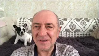 Французский бульдог Рада узнаёт всю правду о колбасе...