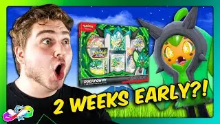 EARLY ACCESS to the Ogerpon ex Premium Collection?! 😱 | Here's What’s Inside!