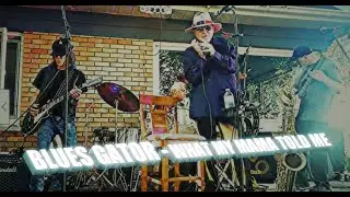 BLUES GATOR - WHAT MY MAMA TOLD ME