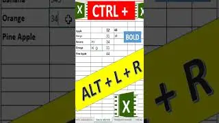 Most Important Shortcut Keys of MS Excel | Excel Shortcuts | Add Border And Remove Border |