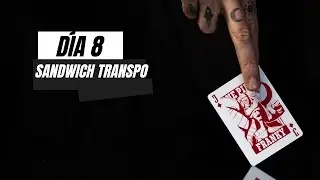 Sandwich Transpo | Cartomago En 90 Días #8
