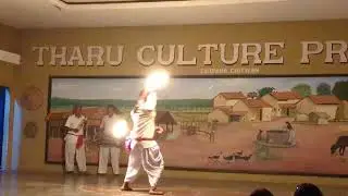 Tharu Culture Dance | Nepal | Chitwan