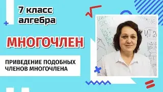 Многочлен. Приведение подобных членов многочлена. 7 класс.
