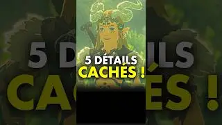 Zelda Tears of the Kingdom : 5 DÉTAILS CACHÉS dans le jeu 🔥