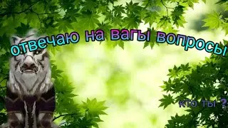 Отвечаю на ваши вопросы