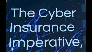 THE CYBER INSURANCE IMPERATIVE with David Finz.  Season 4: Episode 3