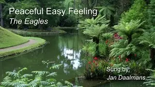Jan Daalmans vocaal  -  Peaceful Easy Feeling