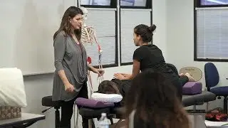 Massage Therapy