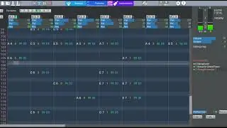 (FM Composer)  Torumi song