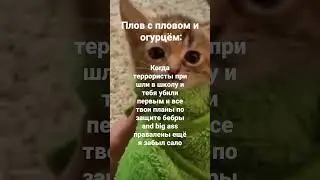 #мем