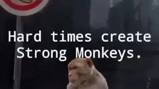 Hard Times Create Strong Monkeys