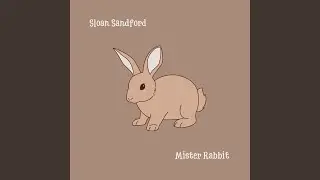 Mister Rabbit