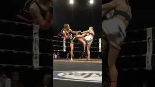 Announcement: We Interrupt Your Regular Scrolling With The Left Kick #rebellionmuaythai