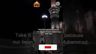 You Get Shy In Front Of People 🥹☺️| Hazrat Muhammed (S.A.W) Says about Shy people #hadees #ytshorts